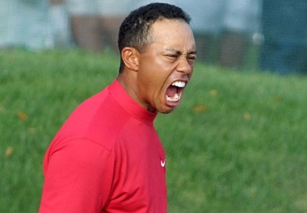 Tiger woods