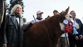 Beatriz Argimón estuvo presente como presidenta en ejercicio en la Expo Prado 2023. Beatriz Argimón estuvo presente como presidenta en ejercicio en la Expo Prado 2023.