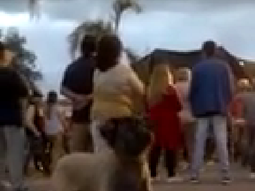 #elperritorockero: mira el cachorro que baila #elperritorockero: mira el cachorro que baila