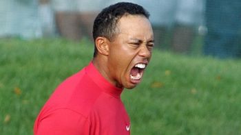 Tiger woods Tiger woods