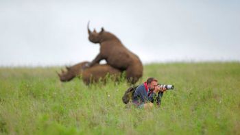 el fotografo conto la historia sobre la imagen de los rinocerontes amorosos el fotografo conto la historia sobre la imagen de los rinocerontes amorosos