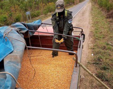 Secuestran seis camiones y decomisan 180 toneladas de soja