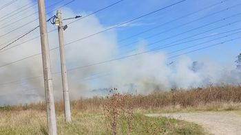 incendio en la plata: el fuego avanzo sin control y consumio al menos 10 hectareas incendio en la plata: el fuego avanzo sin control y consumio al menos 10 hectareas