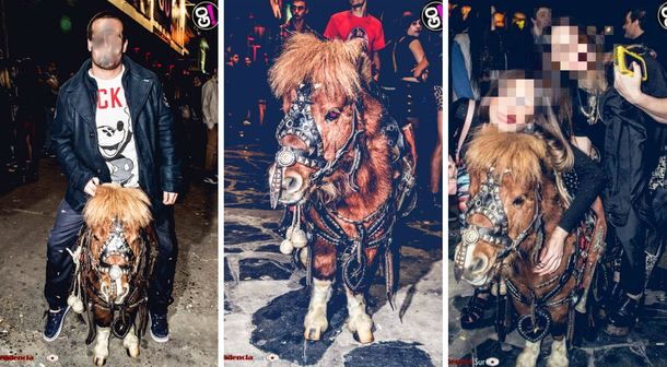 Maltrato animal: un boliche puso un pony para que jueguen sus clientes