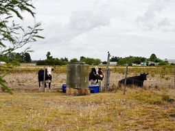 Productores agropecuarios podrán acceder a créditos de hasta 30.000 dólares ante la suba de los combustibles. Productores agropecuarios podrán acceder a créditos de hasta 30.000 dólares ante la suba de los combustibles.