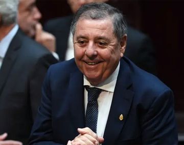 Alfredo De Ángeli, titular del bloque del PRO en el Senado.