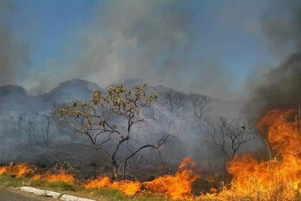 Macri dijo estar conmovido por los incendios en el Amazonas: Nuestro sistema de emergencias se encuentra a disposición