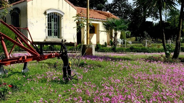 Turismo Saladillo Turismo Saladillo