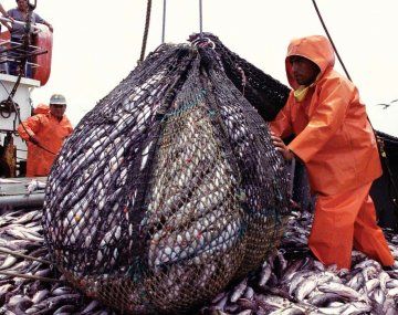 Costa Rica habilitará la importación de productos de empresas pesqueras argentinas
