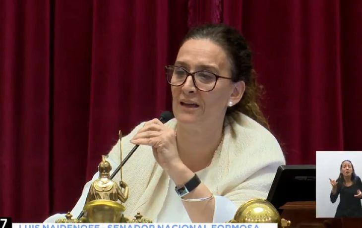 Otro exabrupto de Michetti en plena sesión por el aborto: Es un pel....
