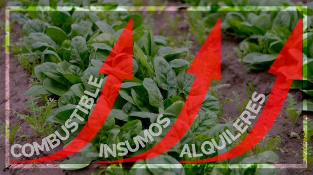 #Verdurazo y crisis: cuáles son los gastos mensuales de un productor