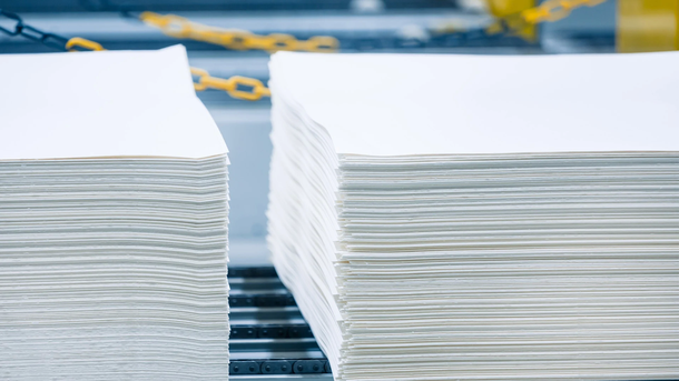 Cae el precio de la celulosa, comprometiendo un sector clave para las previsiones del gobierno