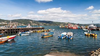 sismo de 7,6 en chile: cuatro mil evacuados a zonas seguras sismo de 7,6 en chile: cuatro mil evacuados a zonas seguras