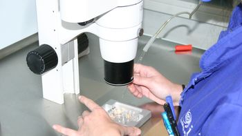 ¿que ocurre con la reproduccion asistida con el nuevo codigo civil? ¿que ocurre con la reproduccion asistida con el nuevo codigo civil?