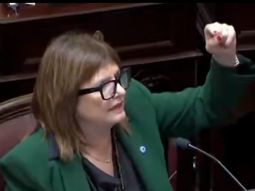 El oficialismo busca retomar en el Senado el debate sobre la eliminación de las PASO