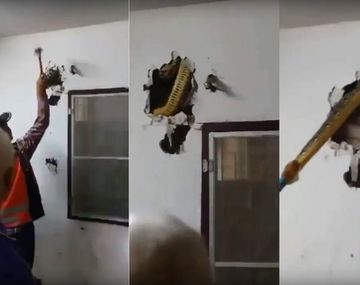 Sacaron una pitón de una pared