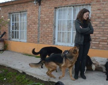 Habló la dueña de los perros que se matan entre sí