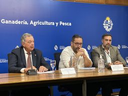 El ministro de Ganadería, Agricultura y Pesca, Fernando Mattos, en el anuncio del Plan de Contingencia Alimentaria. El ministro de Ganadería, Agricultura y Pesca, Fernando Mattos, en el anuncio del Plan de Contingencia Alimentaria.
