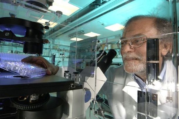 Aseguran que en dos años dos personas del mismo sexo podrían ser padres biológicos