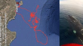 Gentileza diario Jornada. Gentileza diario Jornada.