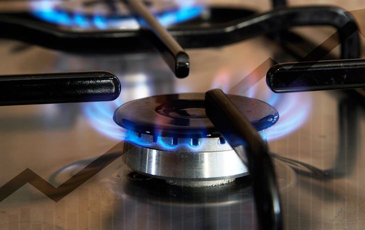 El Gobierno postergó para después de las elecciones la suba del gas