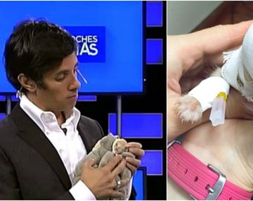 Murió la gatita rescatada por Robertito