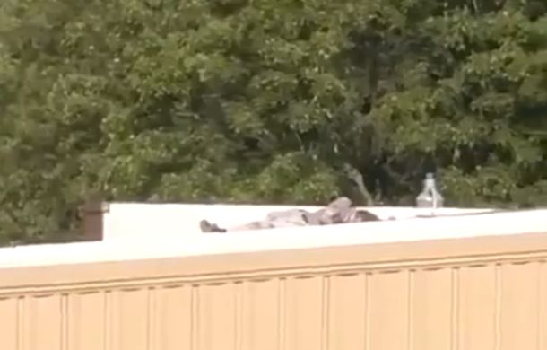 Atentado a Donald Trump: informan que el francotirador que disparó en Pensilvania fue abatido