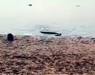 Temor y estupor en Paraná por la aparición de una anaconda amarilla en la playa