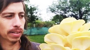 empezaron a cultivar hongos en su casa para tener una dieta saludable y terminaron vendiendo su produccion empezaron a cultivar hongos en su casa para tener una dieta saludable y terminaron vendiendo su produccion