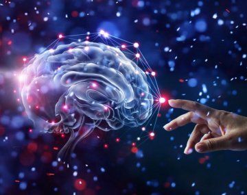 Cómo son los ejercicios para frenar el deterioro cognitivo y que son beneficiosos para la salud