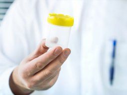 Países Bajos: demandan a un donante de semen al que se le atribuyen más de 500 hijos