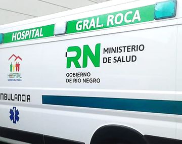 Tres perros salvaron de morir congelado a un joven rionegrino