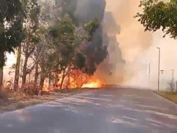 Controlaron el incendio en Ezeiza: 130 hectáreas se vieron afectadas