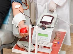 No lo dejaron donar sangre por ser gay