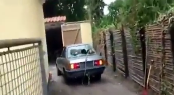 VIDEO: Sacó las raíces de un árbol con el auto pero le salió muy mal