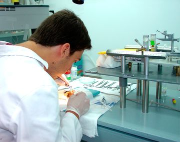 ¿Cuáles fueron los avances científicos más importantes del año?