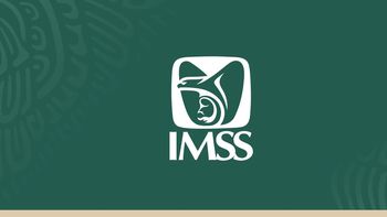 Checa lo que tiene para decir el IMSS. Checa lo que tiene para decir el IMSS.