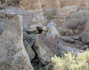Solo pocos logran encontrar el animal oculto en las rocas
