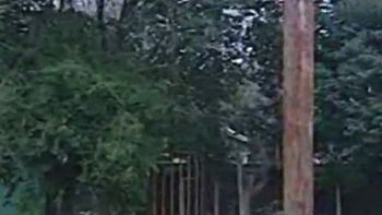 escalofriante: asi es la casilla en la que habria estado anahi escalofriante: asi es la casilla en la que habria estado anahi