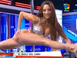 magui bravi la rompio en el cano en animales sueltos magui bravi la rompio en el cano en animales sueltos