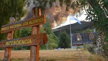 en dos dias, las llamas ya consumieron 1.650 hectareas de bosques en dos dias, las llamas ya consumieron 1.650 hectareas de bosques