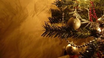 ¿cuanto cuesta armar el arbolito de navidad? ¿cuanto cuesta armar el arbolito de navidad?