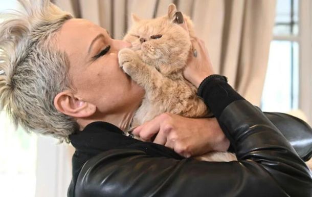 Daniela Cardone dio detalles de cómo fueron las últimas horas de Garfield, el gato que decidió embalsamar