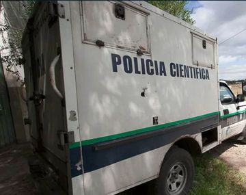 Mar del Plata: asesinaron a un hombre y su cadáver fue devorado por perros