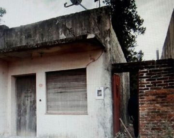 Los gatos le comieron la cara al dueño &nbsp;- Crédito: Crónica