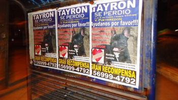 termino la angustia: tayron volvio con su familia termino la angustia: tayron volvio con su familia