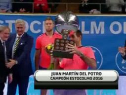 Del Potro logró en Estocolmo el decimonoveno título en el circuito. Del Potro logró en Estocolmo el decimonoveno título en el circuito.