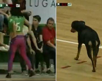 Inédito: suspendieron el partido dos veces por culpa de una hincha y un perro