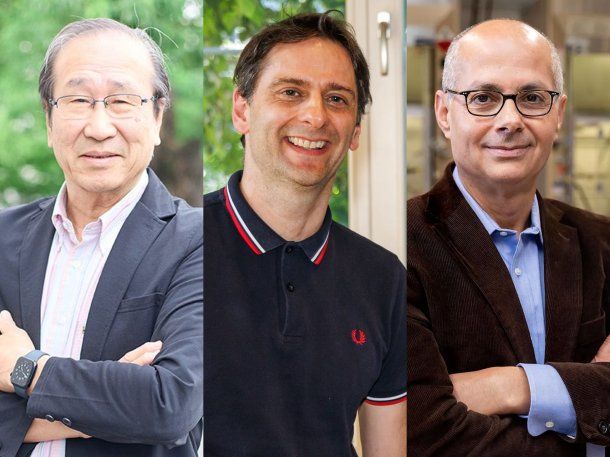 Otorgan el Premio Nobel de Química por el desarrollo de una nueva forma de arquitectura molecular