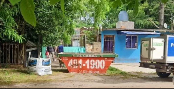 Horror en Mar del Plata: una mujer envenenó a sus 28 perros y gatos y luego se quitó la vida